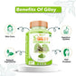 Divya Shree Giloy Capsules | Swadesiicart