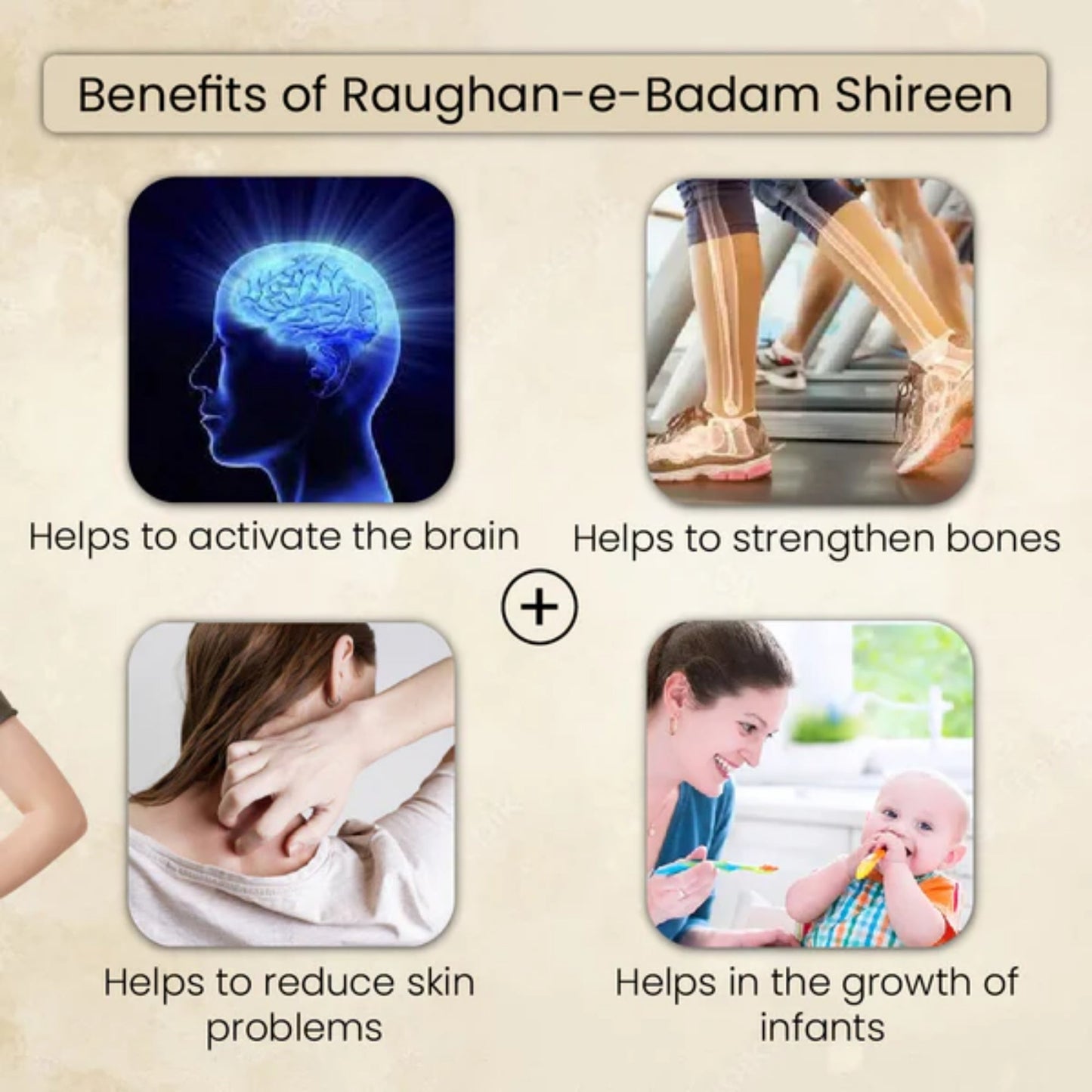 Cipzer Raughan-E-Badam Shireen | Swadesiicart