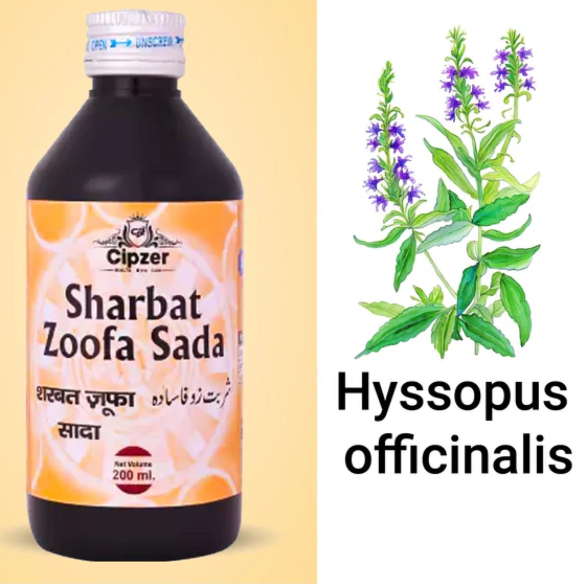 Cipzer Sharbat Zoofa Sada | Swadesiicart