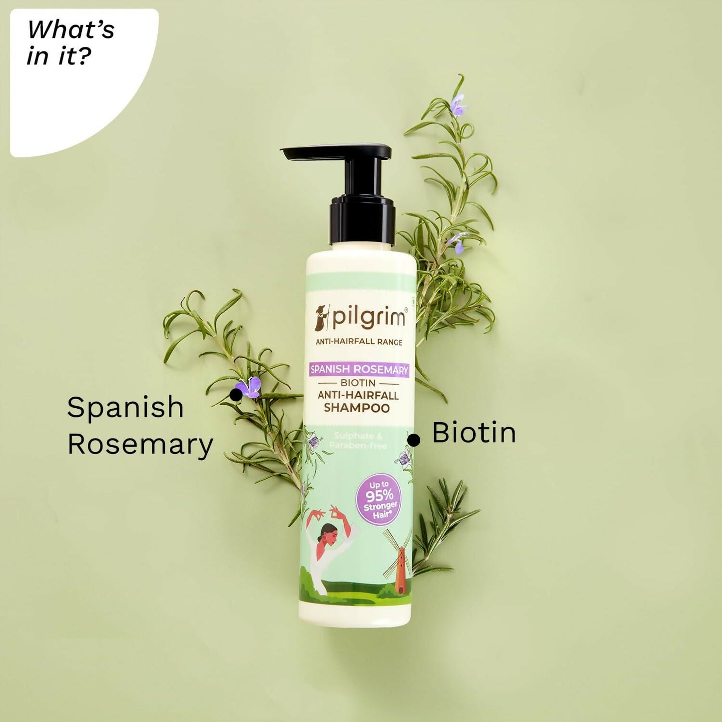 Pilgrim Spanish Rosemary & Biotin Anti Hairfall Shampoo For Reducing Hair Loss & Breakage - Swadesiicart