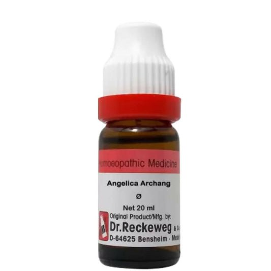 Dr. Reckeweg Angelica Archang Mother Tincture Q | Swadesiicart