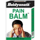 Baidyanath Nagpur Pain Relief Balm
