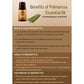 Ancient Living Palmarosa Essential Oil