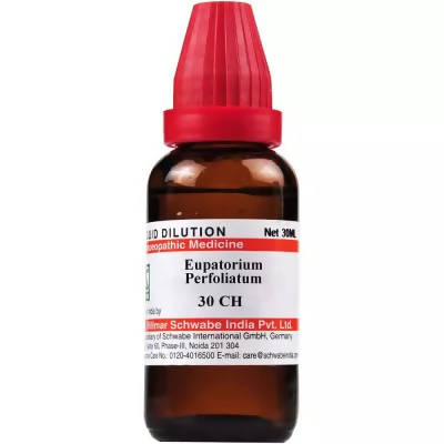 Dr. Willmar Schwabe India Eupatorium Perfoliatum Dilution - Swadesiicart