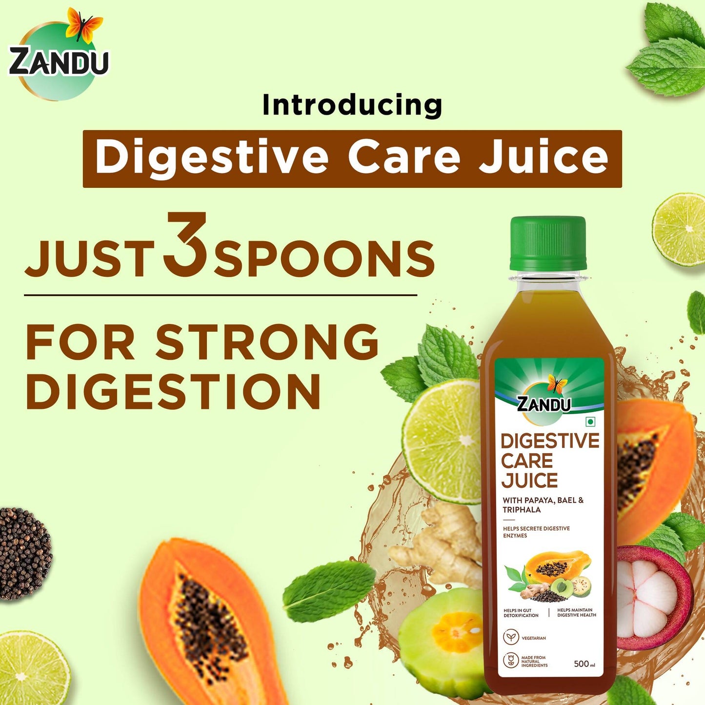 Zandu Digestive Care Juice - Swadesiicart