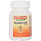 Baidyanath Jhansi Pradrantak Lauh Tablets - Ayurvedant Pvt. Ltd.