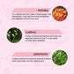 Charak Pharma M2 Tone Syrup Ingredients