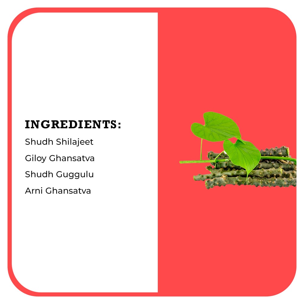 Desh Rakshak Cholesteronil | Swadesiicart