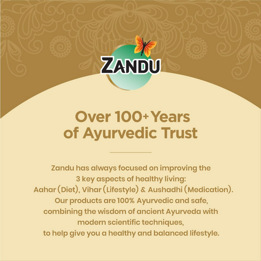 Zandu Kesari Jivan Dry Fruits Chyawanprash | Swadesiicart