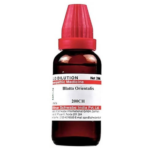 Dr. Willmar Schwabe India Blatta Orientalis Dilution | Swadesiicart