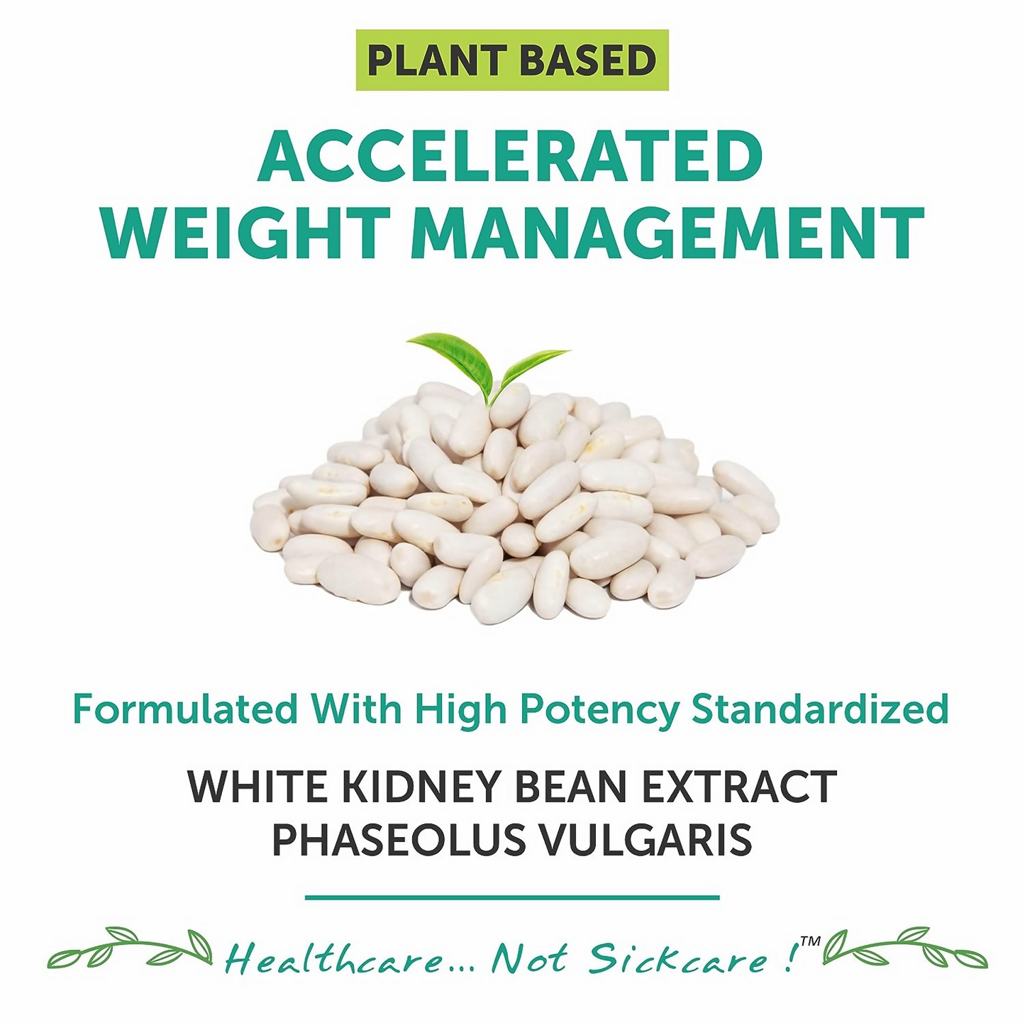 Bliss Welness Carb Controller Capsules - Swadesiicart