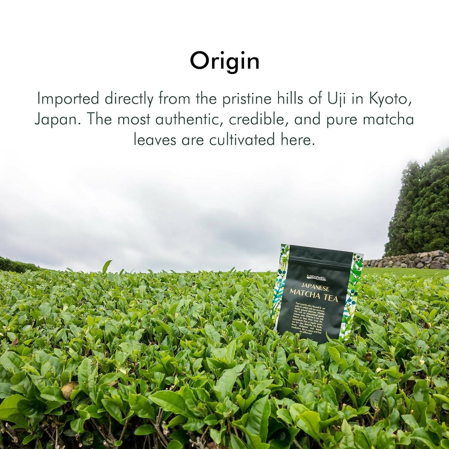 Heapwell Superfoods Japanese Ceremonial Matcha Green Tea | Swadesiicart