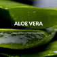 Lotus Botanicals 100% Pure Aloe Vera Gel With Vitamin E | Swadesiicart