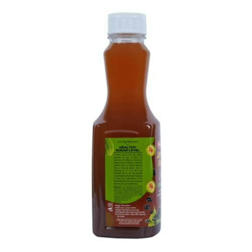 Baidyanath Jhansi Jamun Plus Karela Juice | Enhanced Ayurvedic Blood Sugar & Metabolic Wellness Juice - Swadesiicart