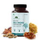 Saptamveda Irish Sea Moss 500mg Capsules - Swadesiicart