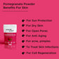SkinLuv Swarna Pomegranate Powder For Skin Hydration - Swadesiicart