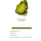 Dophie Matcha Green Tea Powder Culinary Grade | Swadesiicart