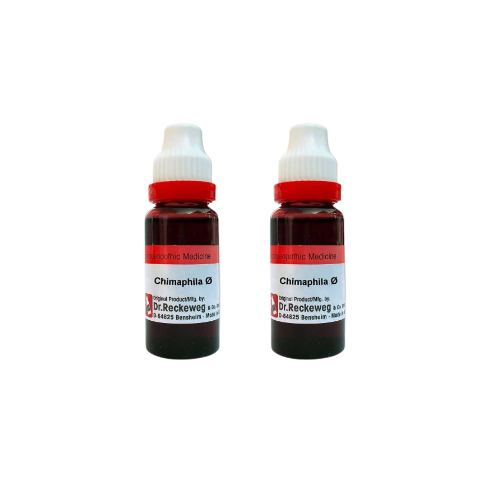 Dr. Reckeweg Chimaphila Mother Tincture Q | Swadesiicart