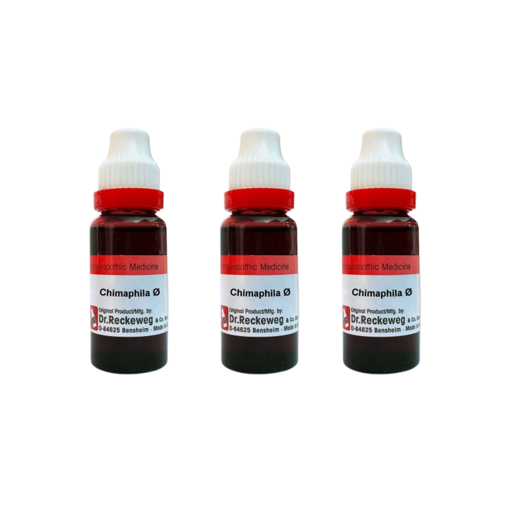 Dr. Reckeweg Chimaphila Mother Tincture Q | Swadesiicart