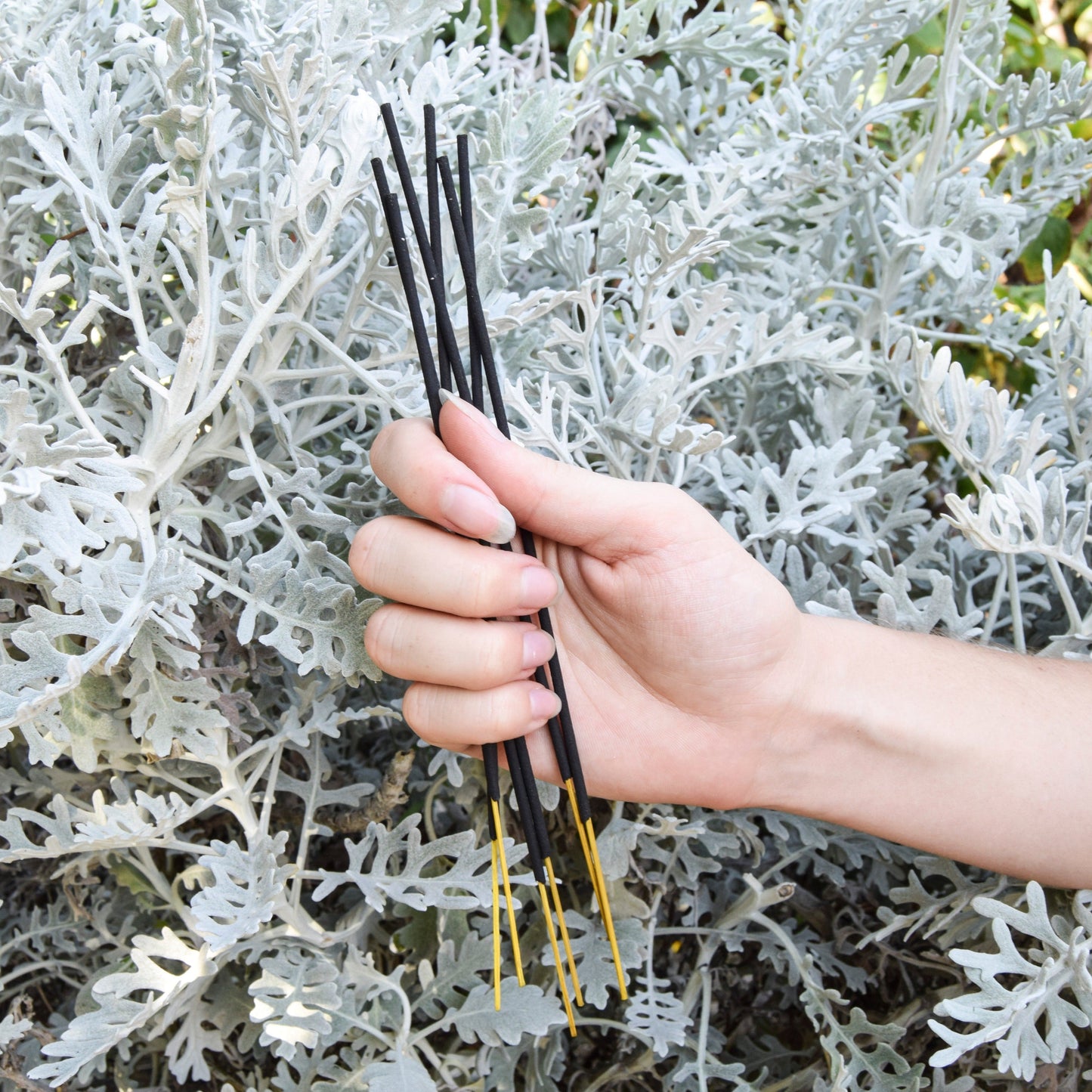 UMA Pure Bliss Wellness Incense