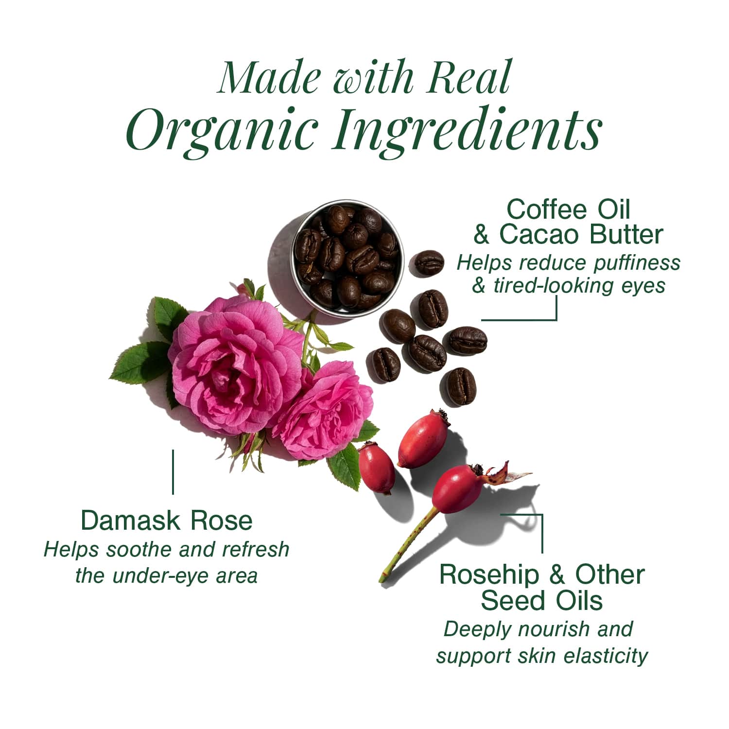 Organic Under Eye Repair Cream Fortified with Damask Rose + Coffee