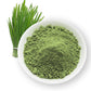 Wheat grassLeaves Powder 03