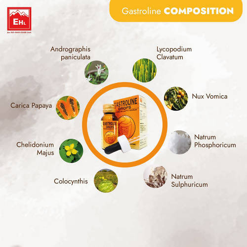 Everest Homeopathy Gastroline Drops | Swadesiicart