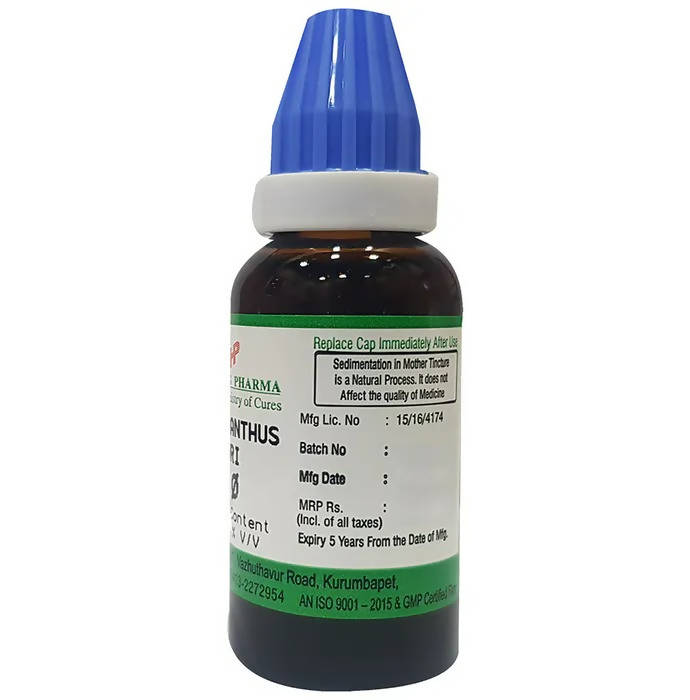 Hering Pharma Phylanthus Niruri Mother Tincture Q | Swadesiicart