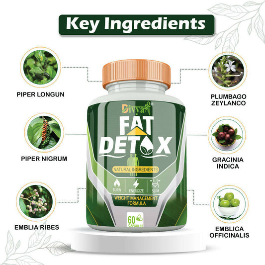 Divya Shree Fat Detox Capsules | Swadesiicart