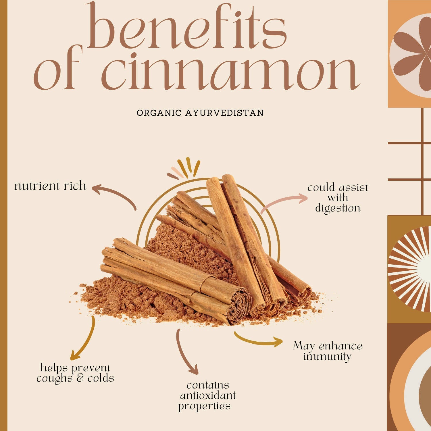 Organic Ayurvedistan Ceylon Cinnamon Sticks - Swadesiicart