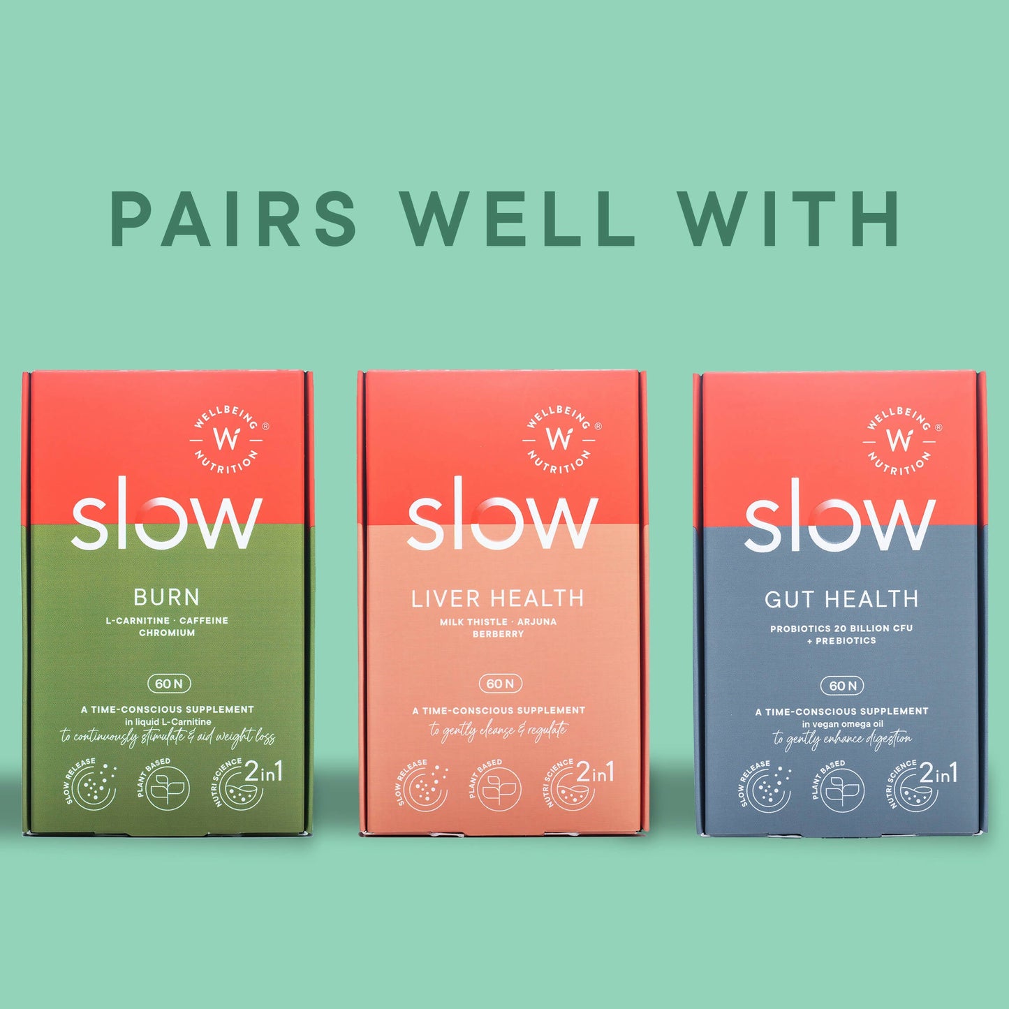 Wellbeing Nutrition Slow | Multivitamin for Him Capsules - Swadesiicart