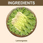 Bodyherbals Exfoliating, Lemongrass Bathing Bar