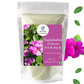 Nxtgen Ayurveda Sadabahar Leaves Powder | Swadesiicart