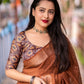Brown Linen Sequence Saree with Unstitched Blouse - Hiral Fashion | Swadesiicart