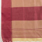 Vishnu Weaves Women's Chiku Raw Silk Thread Woven Saree with Blouse - Swadesiicart