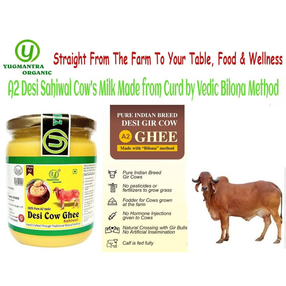 Yugmantra Organic Foods Pure A2 Natural Desi Cow Ghee Sahiwal | Handmade Desi Ghee | Grassfed, Golden, Grainy, Natural Fresh | Swadesiicart