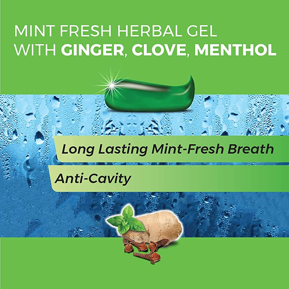Kp Namboodiri's Herbal Gel Toothpaste - Swadesiicart
