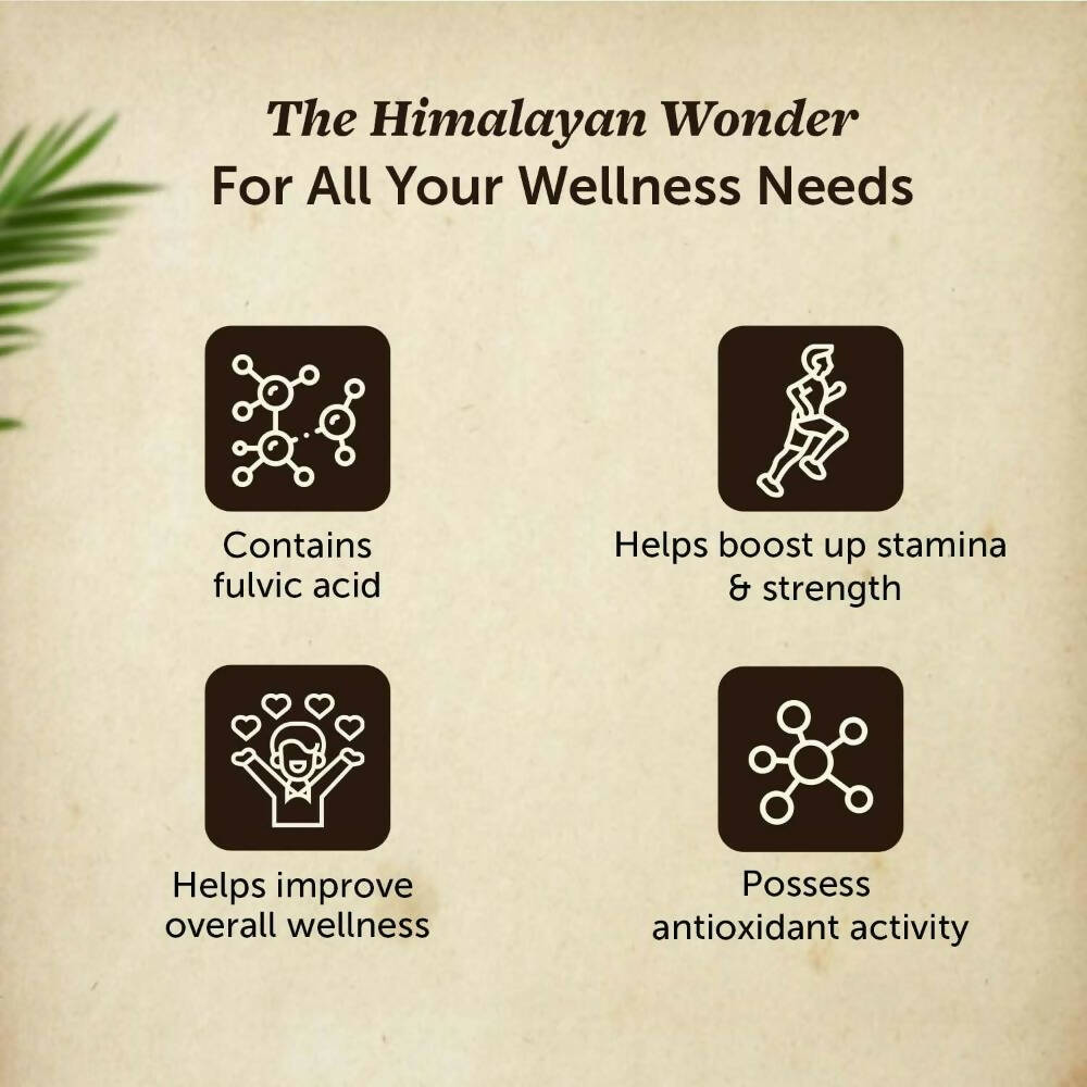 Neuherbs Pure Ayurvedic Himalayan Sj /Sj Resin - Swadesiicart