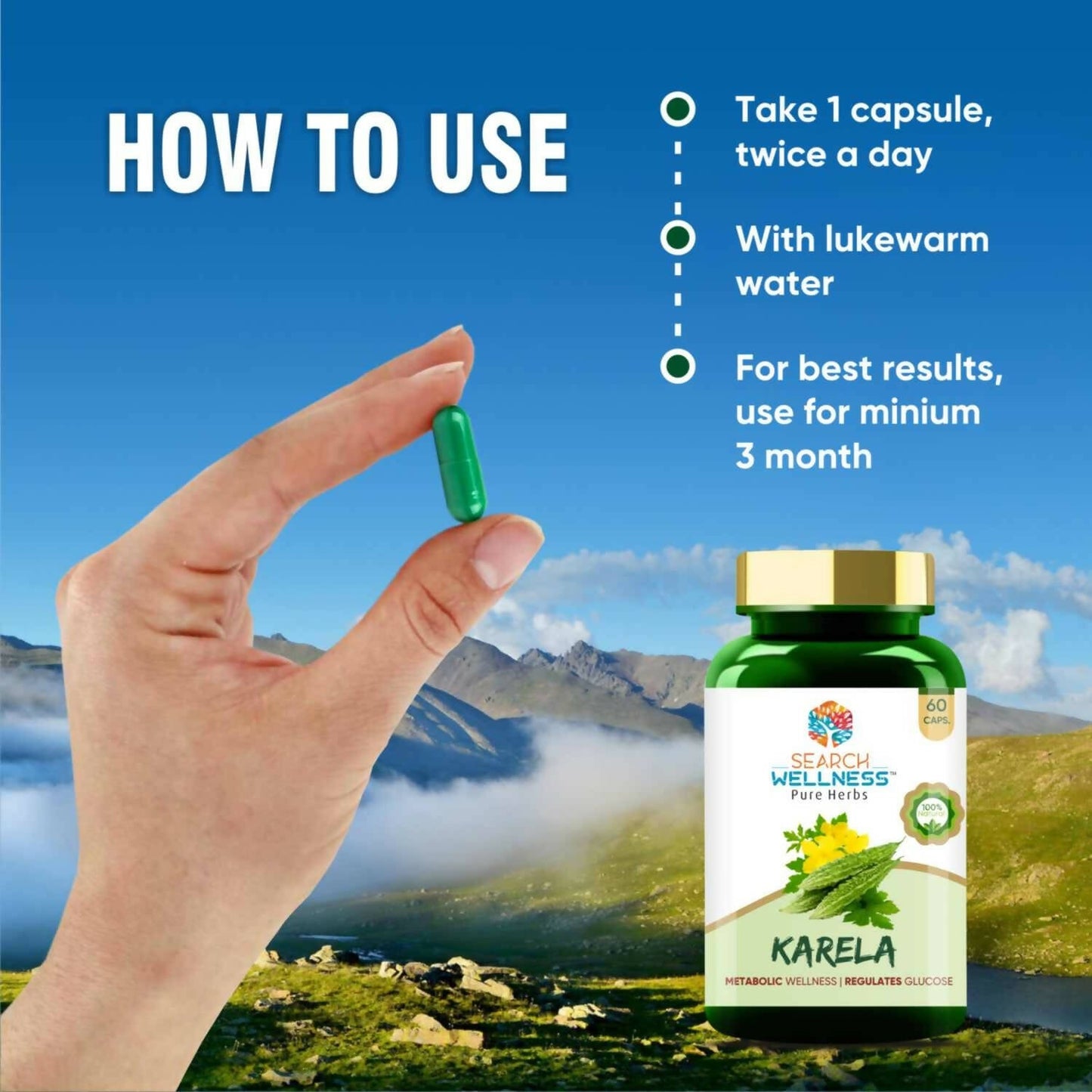 Search Wellness Karela Capsules - Swadesiicart