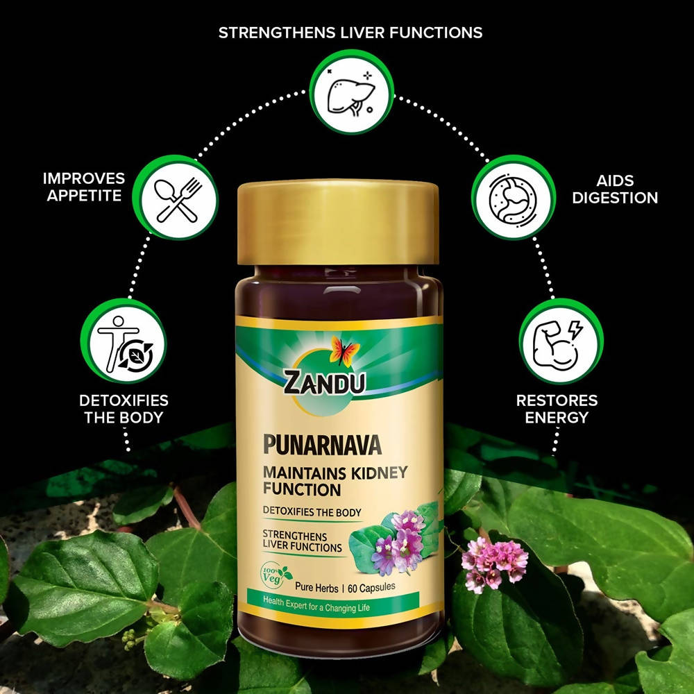 Zandu Punarnava Capsules | Swadesiicart
