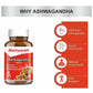 Baidyanath Kolkata Ashwagandha Tablets | Classical Ayurvedic Adaptogen for Stress & Vitality - Swadesiicart