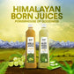 Wow Life Science Himalayan Amla Juice | Swadesiicart