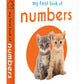 Wonder House Books My First Mini Library : Boxset of 10 Board Books - Swadesiicart
