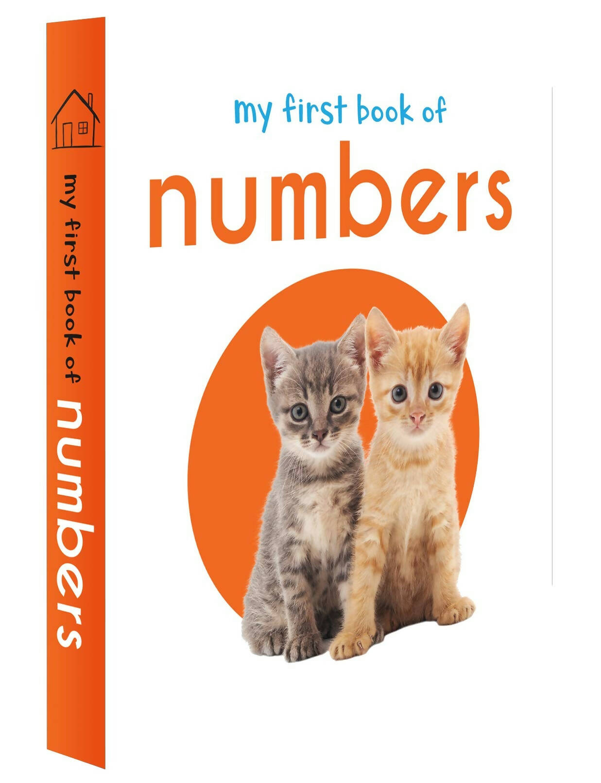 Wonder House Books My First Mini Library : Boxset of 10 Board Books - Swadesiicart