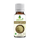 Oilcure Fennel Seed Oil (Saunf) Cold Pressed - Oilcure Health & Beauty