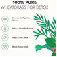 Kapiva Ayurveda Wheat Grass Juice - Swadesiicart