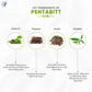 Pathak Ayurvedic Pharmacy Pentabitt Tablets - Swadesiicart