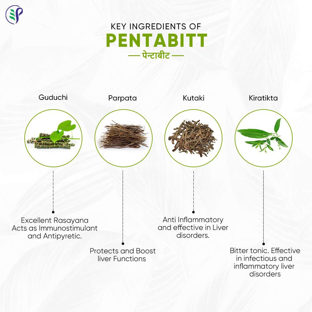 Pathak Ayurvedic Pharmacy Pentabitt Tablets - Swadesiicart