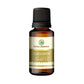 Korus Essential Cardamom Essential Oil - Therapeutic Grade - Just Jaivik