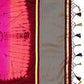 Mimosa Women's Banarasi Silk Multicolor Saree | Swadesiicart